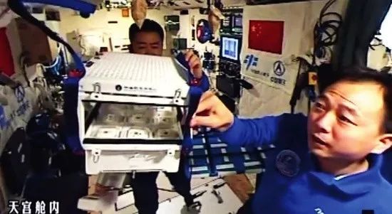 【業(yè)界要聞】中美貿(mào)易戰(zhàn)背面，反思為什么小麥玉米也要進(jìn)口